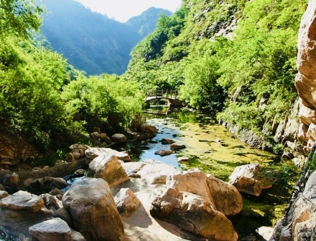 天津薊州篇——夏日出逃之梨木台