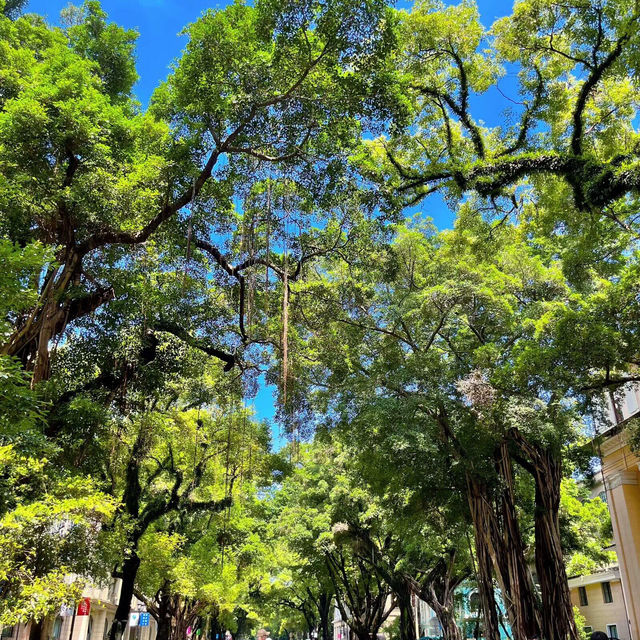 廣州沙面島一日游路線✔️好像在歐洲啊啊啊‼️