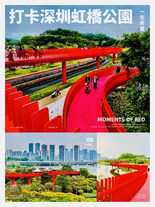 深圳最美的虹橋公園！！