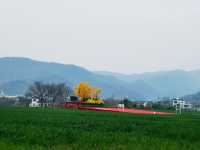 在愜意的田園風格余村等您