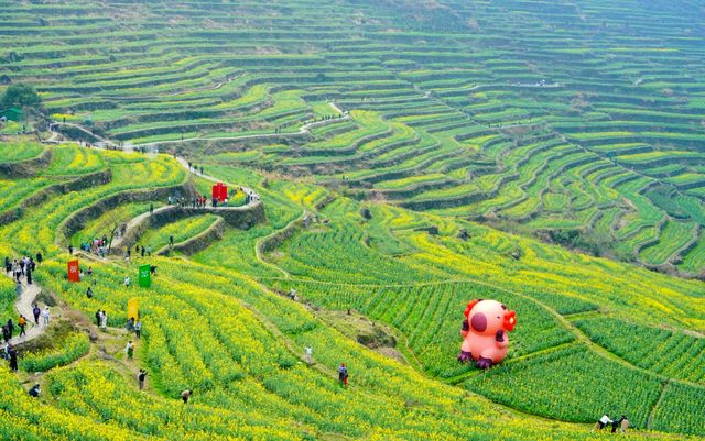 2025 快啲嚟浙江覆厄山啦，油菜花盛開！