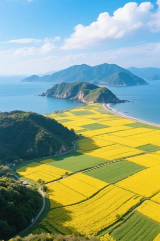서귀포 탐험, 유채꽃 바다의 낭만 여행