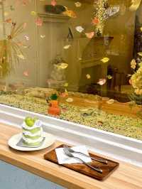 珠海竟藏着一家超韓系的宝藏蛋糕店🍰，不在韓國！