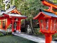 探索根津神社——東京的隱世瑰寶