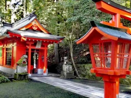 探索根津神社——東京的隱世瑰寶