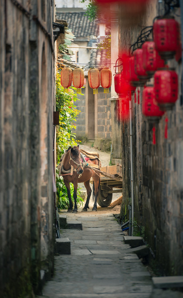 今年五一我只去一個地方！就是宏村！