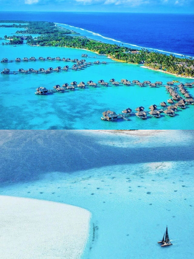 我朋友圈逼問瘋了都以為我出國了