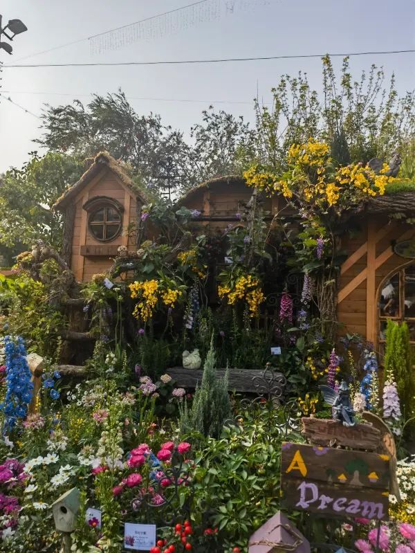 🌸 維多利亞公園花卉展：自然的色彩盛宴