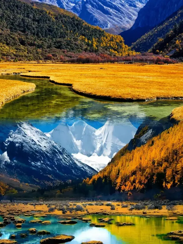 ภูเขาหิมะสู้กับทุ่งหญ้า คุณอยู่ข้างไหน"