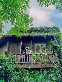 住進森林童話樹屋！原來童話裡的綠野仙蹤真的存在