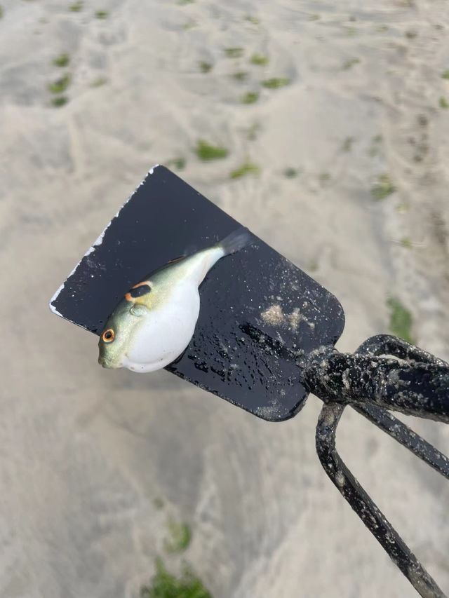 雙月灣親子遊必到打卡點！小朋友嘅最愛！