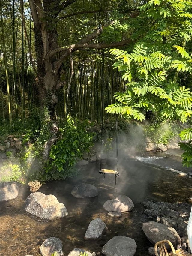 安吉｜出片同呼吸一樣簡單附攻略