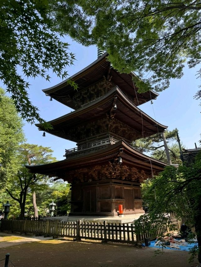 東京豪德寺交通全攻略：尋訪「招財貓故鄉」的清幽路徑 