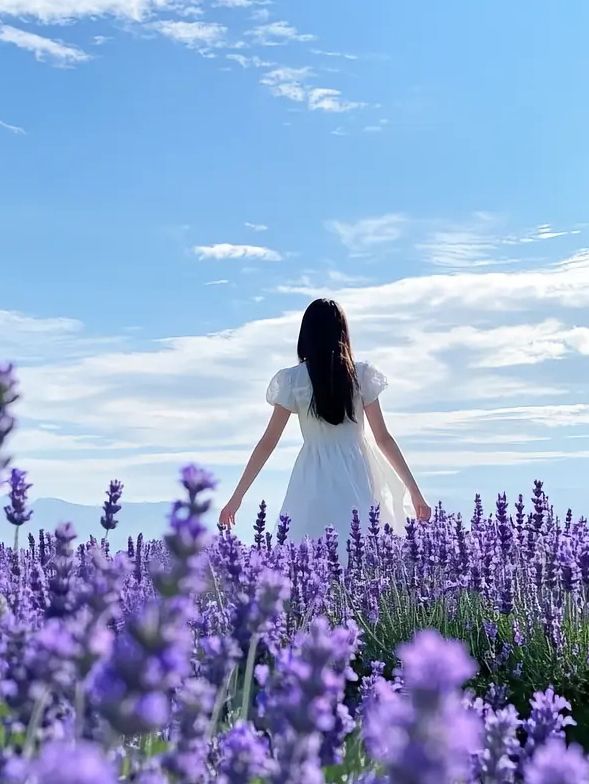 夏日去霍城，赴一場紫色浪漫之約～
