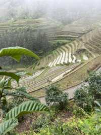 Longsheng 4 Days Travel Guide 