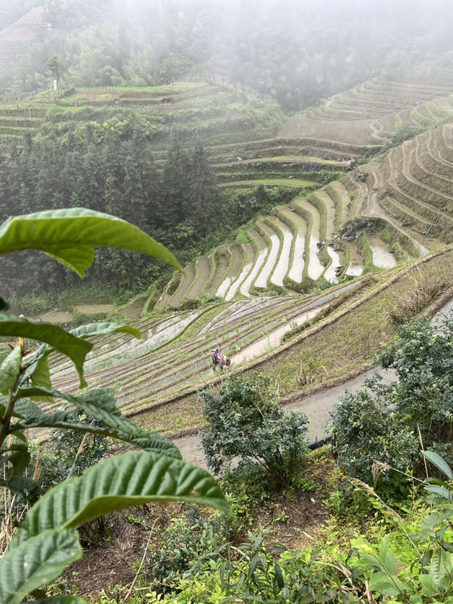 Longsheng 4 Days Travel Guide 