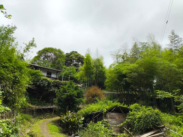 探索清流溫家山