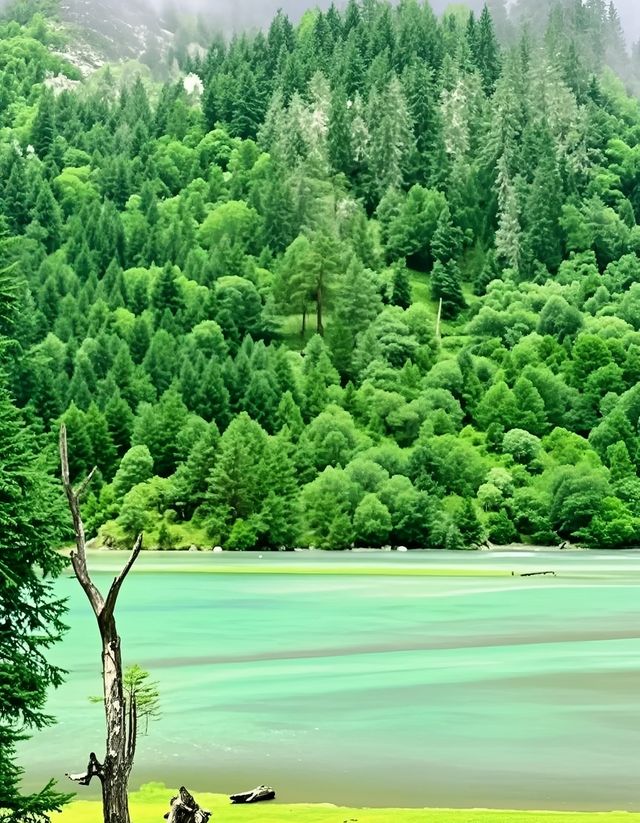 康定之旅：邂逅浪漫與自然