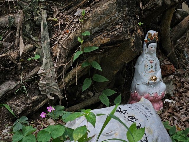鹤山