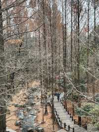Hiking in botanic garden Beijing 