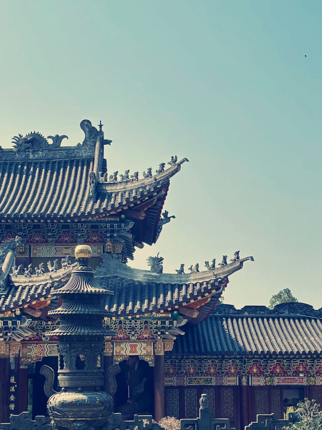 深圳東山寺｜山海間的禪意之旅