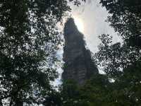 Magical 4 days in Zhangjiajie Park 