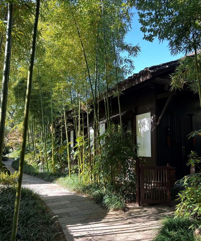 所見西溪｜杭州最有江南詩意的隱居之地