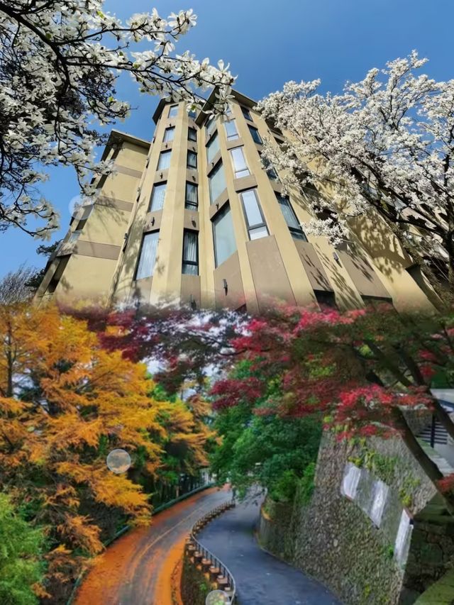 莫干山天籟之夢日出度假酒店：邂逅山間絕美日出