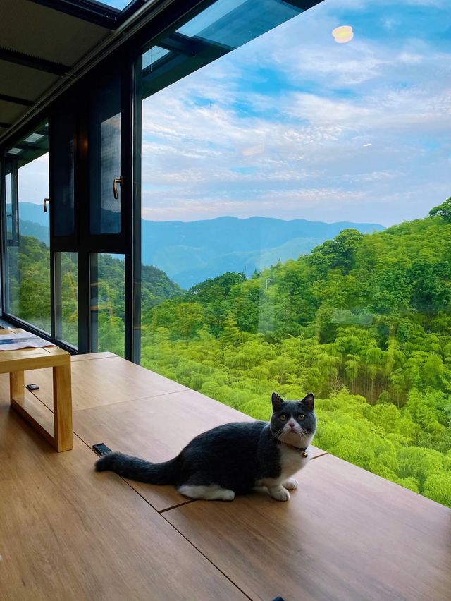安吉旅遊」隱於山野深處嘅避世一隅