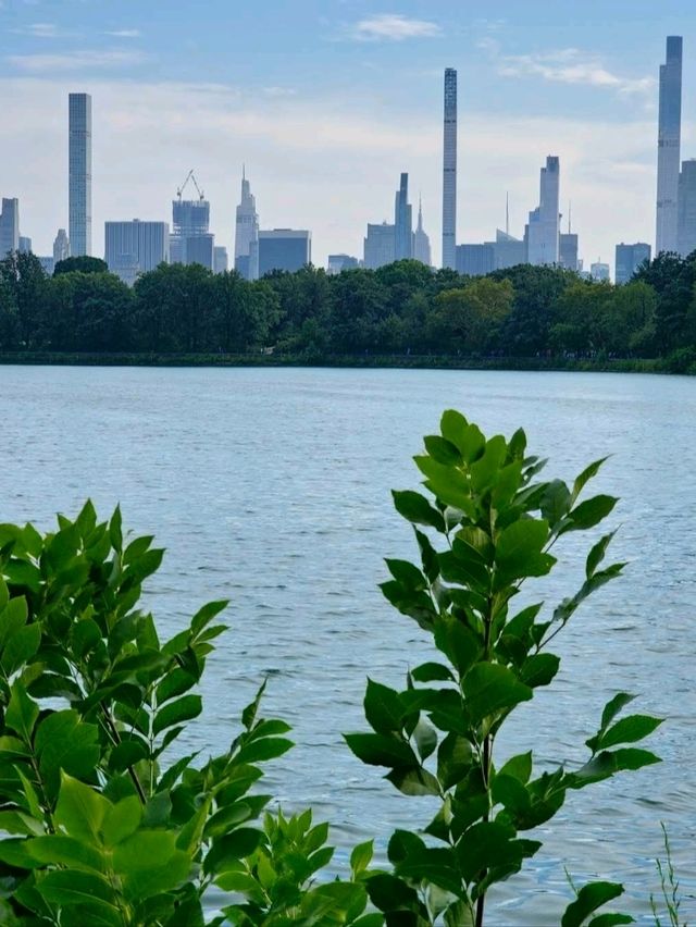 Central Park Magic on a Budget 🌳🍎