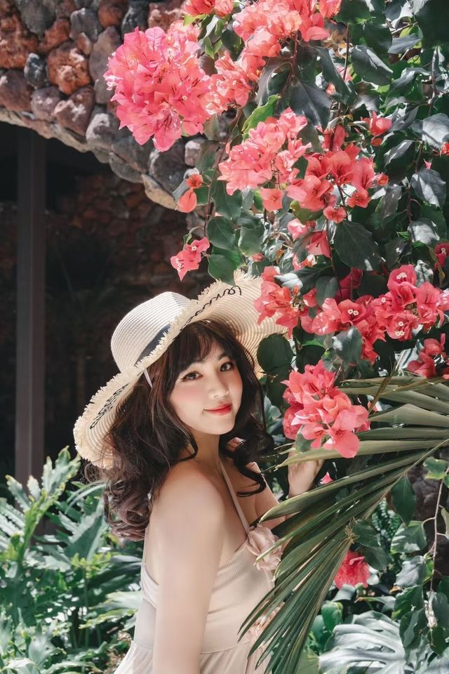 面朝洱海，春暖花開