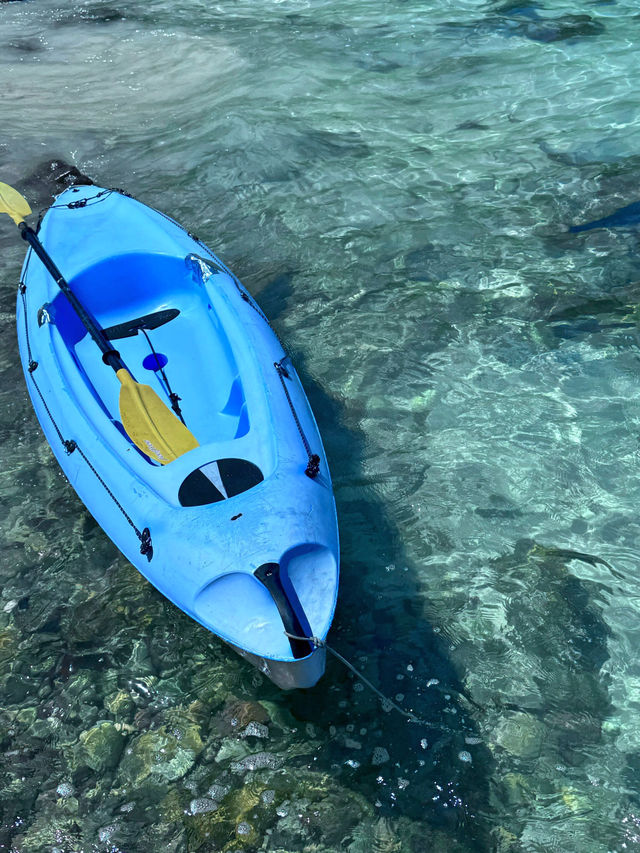 🌊香港瓮缸灣，浮潛皮划艇天堂