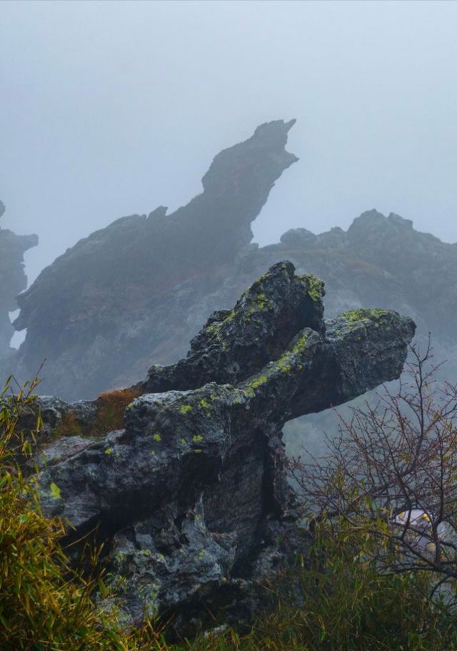 中國最大原始森林——神農架