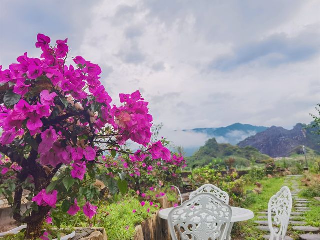 九成廣州人未去過嘅山區公園