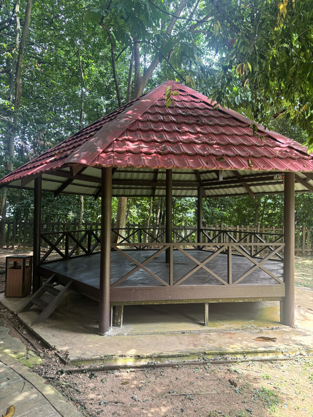 Eco park in the heart of KL