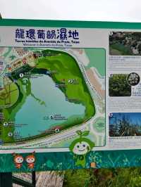 香港出發至澳門龍環葡韻濕地公園交通攻略 