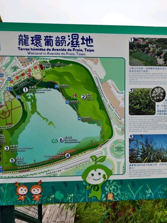 香港出發至澳門龍環葡韻濕地公園交通攻略 