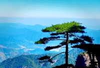 【三清山攻略｜雲海仙境速通指南！】