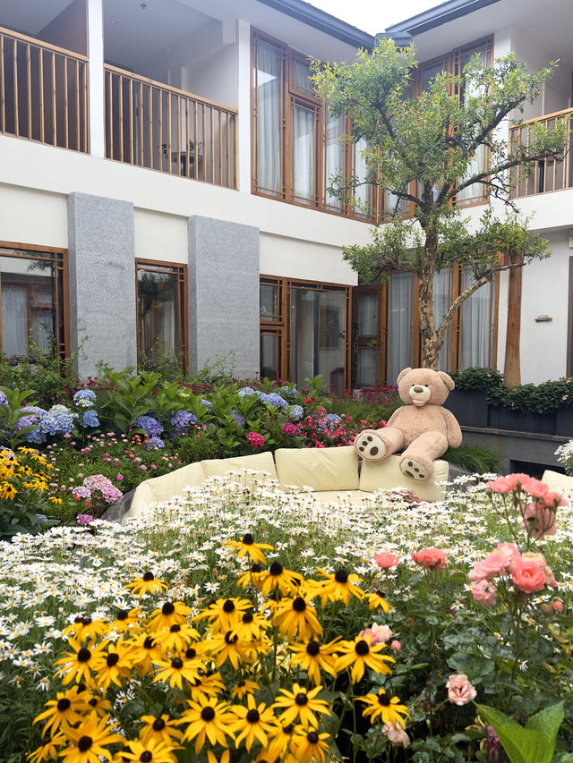 喺麗江古城，住進咗春天嘅花園裏～