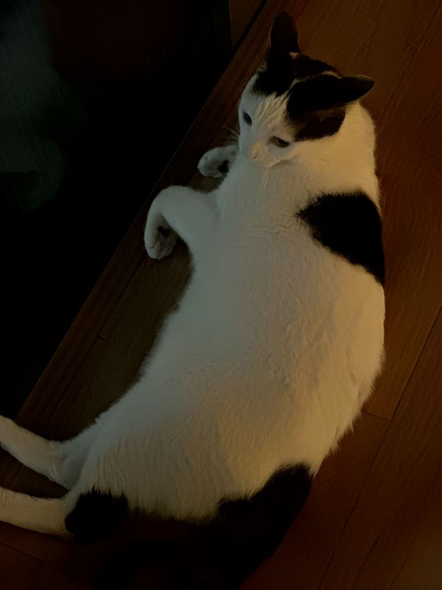 美食頻道私藏嘅深夜烏托邦