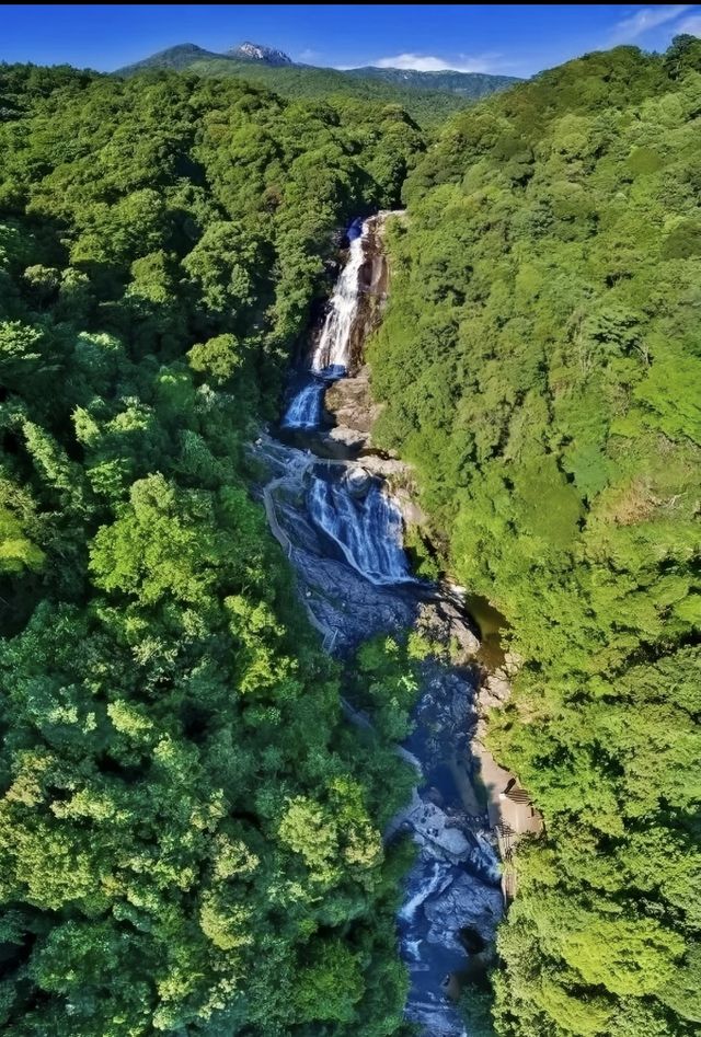 龍岩夏季遊玩必去景點！