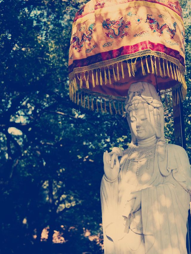 南京長蘆寺 禅意の旅