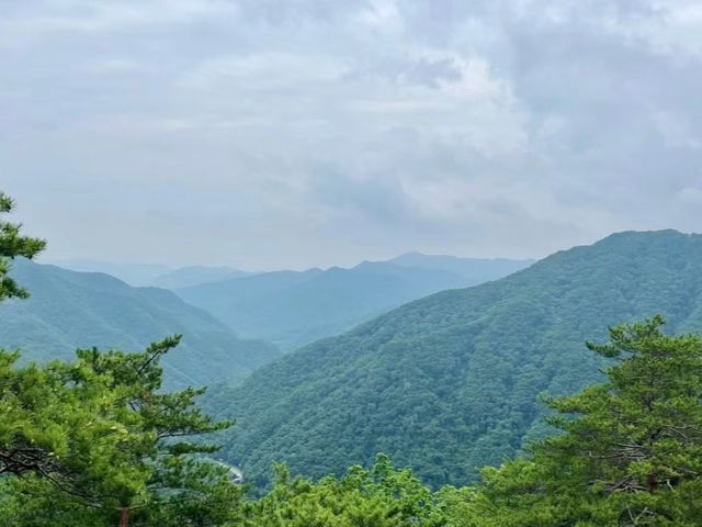 去咗4次五女峰國家森林公園，終於玩到明！