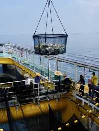 金鯧魚之都「湛江」捕撈現場帶你睇