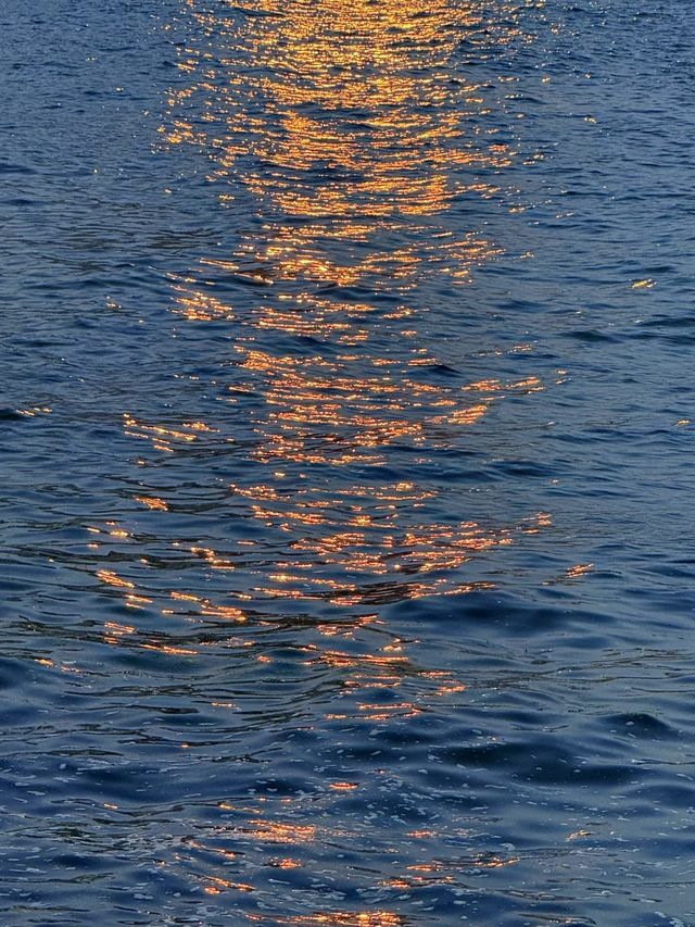 青島嘅夏天