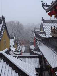 杭城live｜風花雪月、一年四季