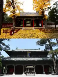 鄒城銀座精宿，你嘅旅途小確幸！