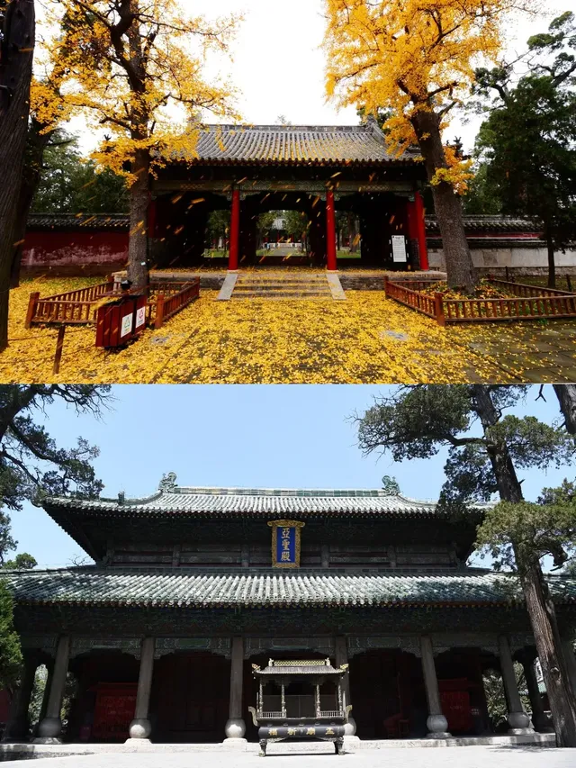 鄒城銀座精宿，你嘅旅途小確幸！
