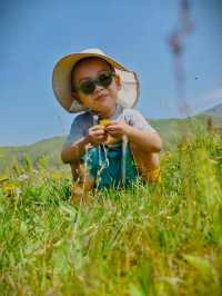 北京熱到溶化？不如帶小朋友去壩上避暑！