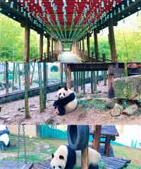 夏日避暑天堂!江蘇常州溧陽天目湖,讓你一鍵解鎖25℃嘅夏天
